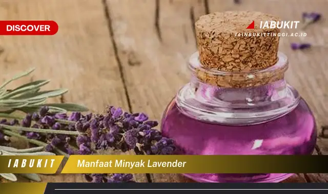 manfaat minyak lavender