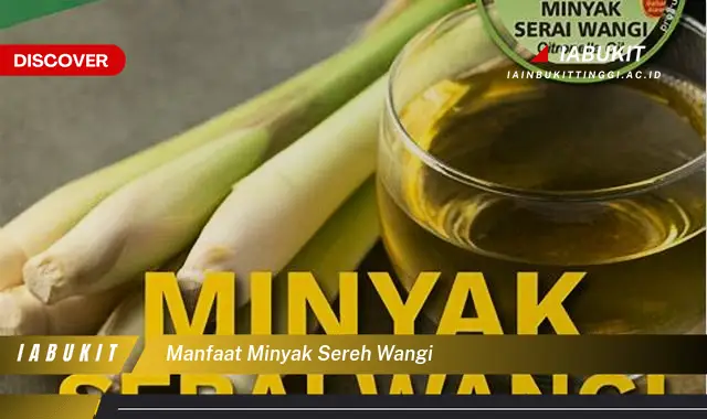 manfaat minyak sereh wangi