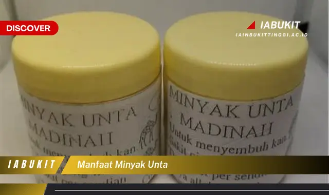 manfaat minyak unta