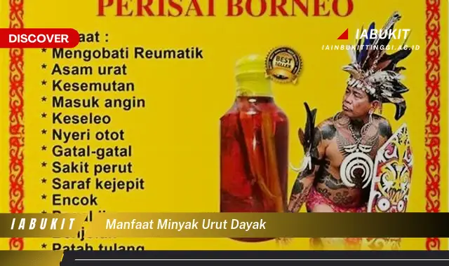 manfaat minyak urut dayak