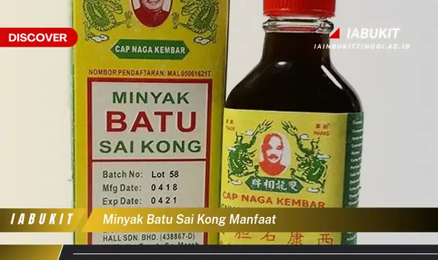 minyak batu sai kong manfaat