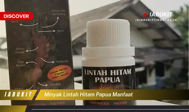 minyak lintah hitam papua manfaat