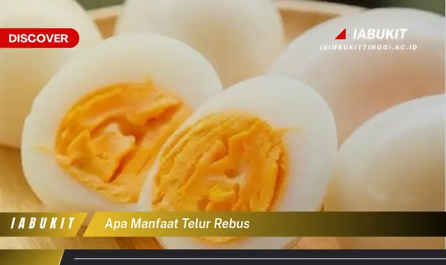 apa manfaat telur rebus