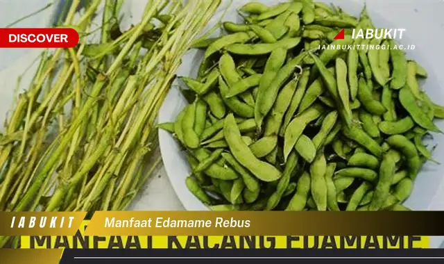 Jarang Diketahui, Inilah 20 Manfaat Edamame Rebus yang Wajib Diketahui - E-Jurnal