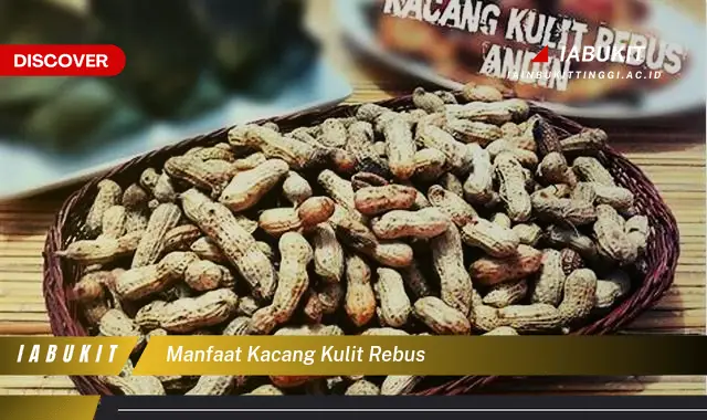 manfaat kacang kulit rebus