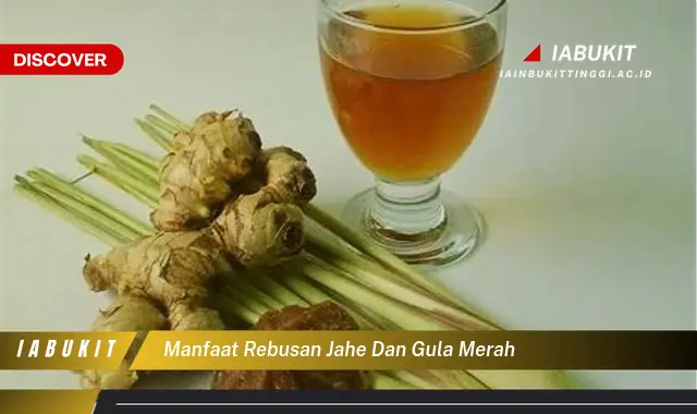 manfaat rebusan jahe dan gula merah