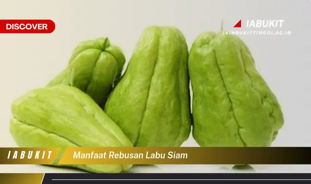 manfaat rebusan labu siam
