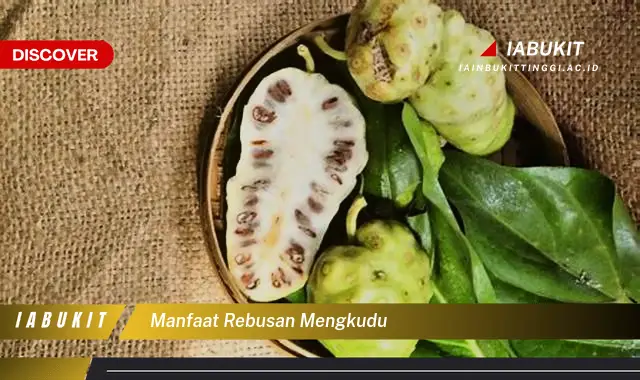 manfaat rebusan mengkudu