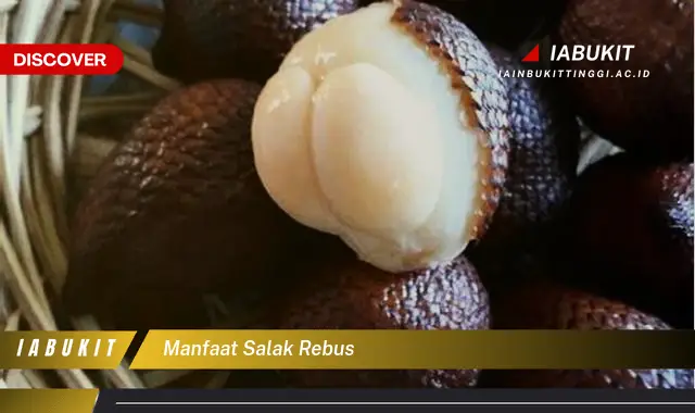 manfaat salak rebus