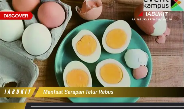 manfaat sarapan telur rebus