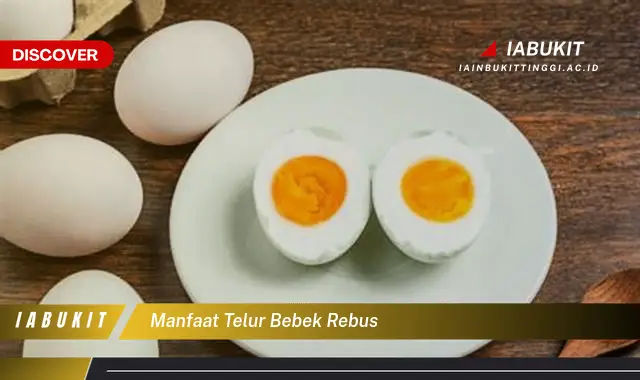 manfaat telur bebek rebus