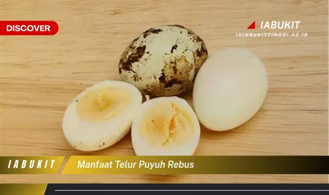 manfaat telur puyuh rebus