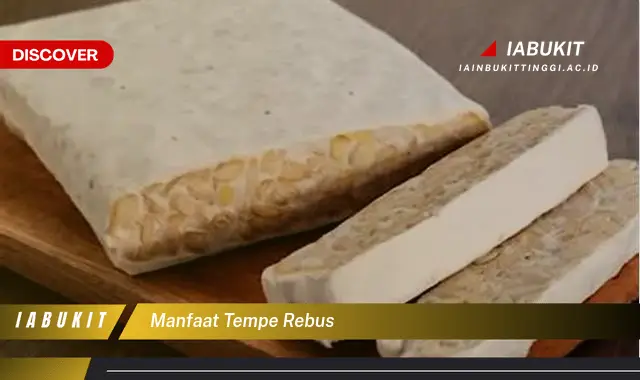 manfaat tempe rebus