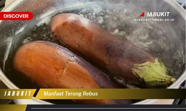 manfaat terong rebus