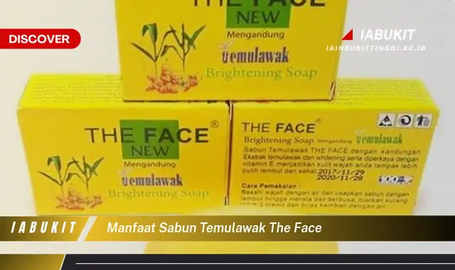 manfaat sabun temulawak the face