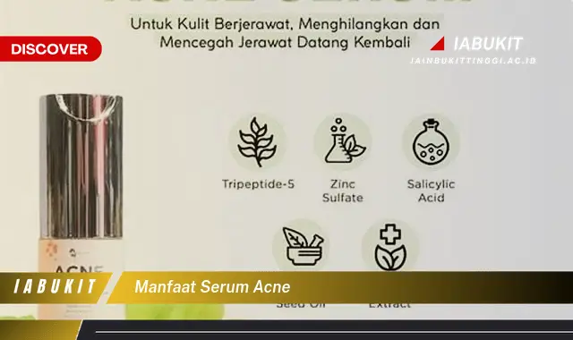 manfaat serum acne