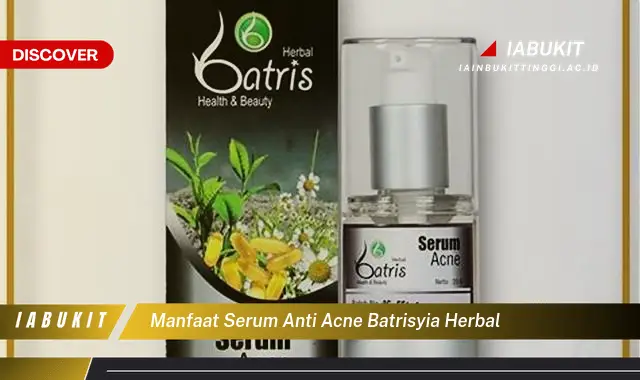 Bikin Penasaran, Inilah 20 Manfaat Serum Anti Acne Batrisyia Herbal yang Jarang Diketahui - E-Jurnal