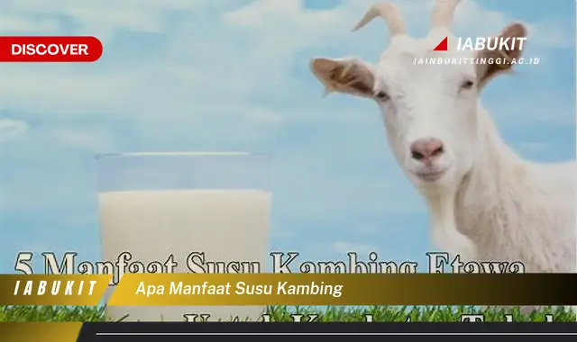 apa manfaat susu kambing