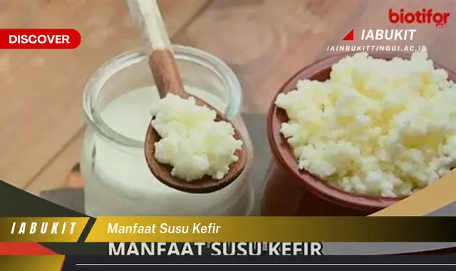 manfaat susu kefir