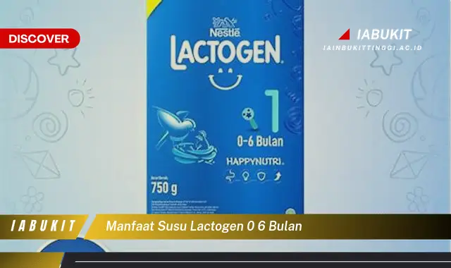 manfaat susu lactogen 0 6 bulan