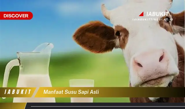 manfaat susu sapi asli