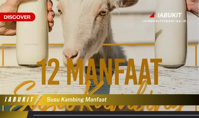 Temukan 20 Manfaat Susu Kambing yang Jarang Diketahui dan Bikin Kamu Penasaran - E-Jurnal