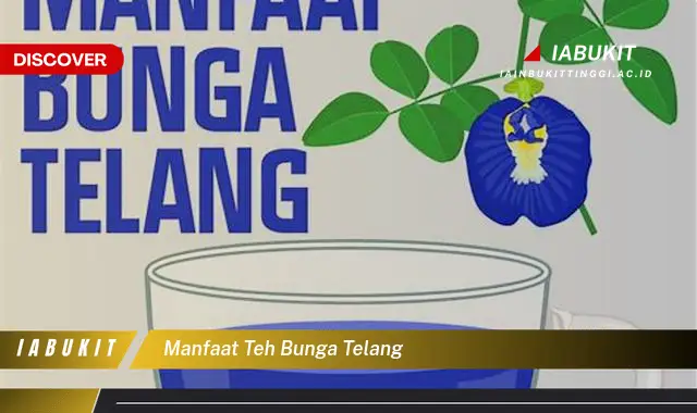 manfaat teh bunga telang