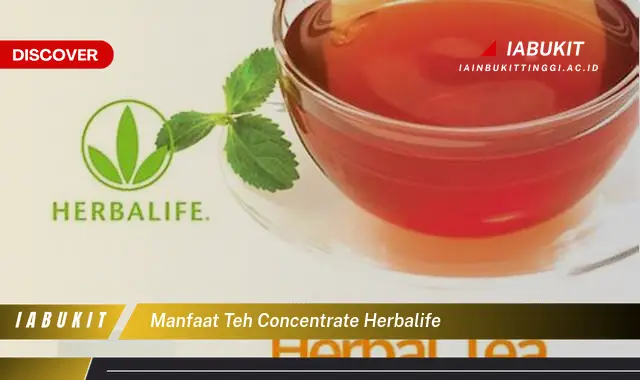 manfaat teh concentrate herbalife