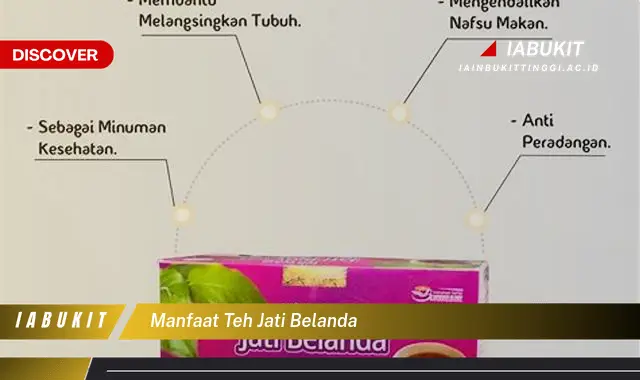 manfaat teh jati belanda