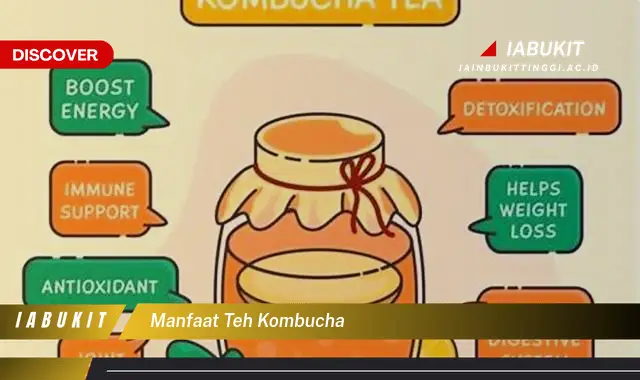 manfaat teh kombucha