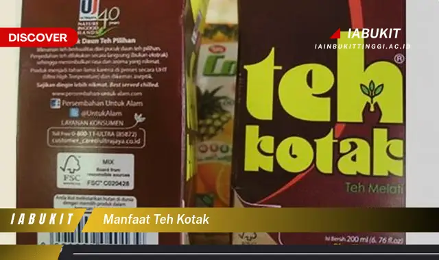 Temukan 20 Manfaat Teh Kotak yang Wajib Kamu Intip - E-Jurnal