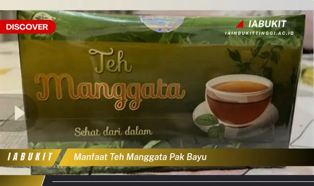 manfaat teh manggata pak bayu