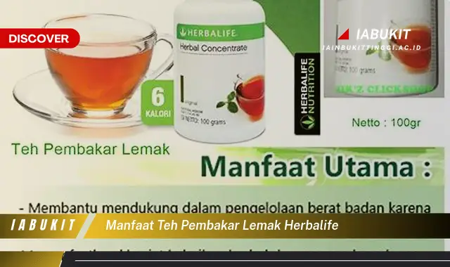 manfaat teh pembakar lemak herbalife