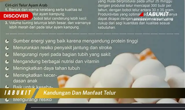 kandungan dan manfaat telur