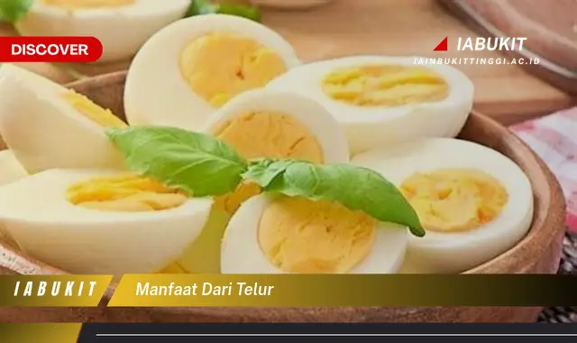 manfaat dari telur