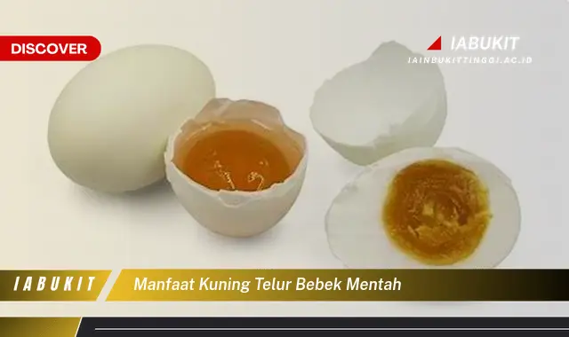 manfaat kuning telur bebek mentah