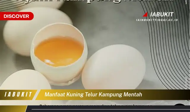 manfaat kuning telur kampung mentah