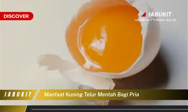 manfaat kuning telur mentah bagi pria