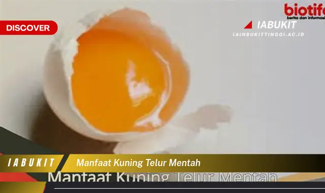manfaat kuning telur mentah