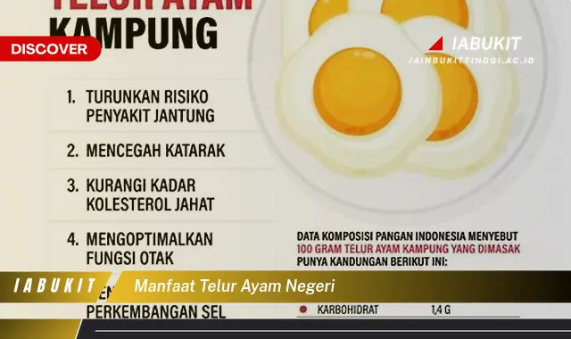 manfaat telur ayam negeri