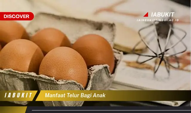 manfaat telur bagi anak