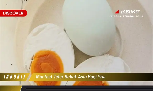 manfaat telur bebek asin bagi pria