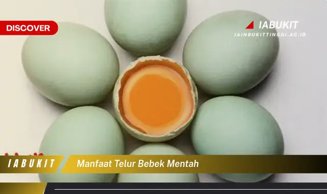 manfaat telur bebek mentah