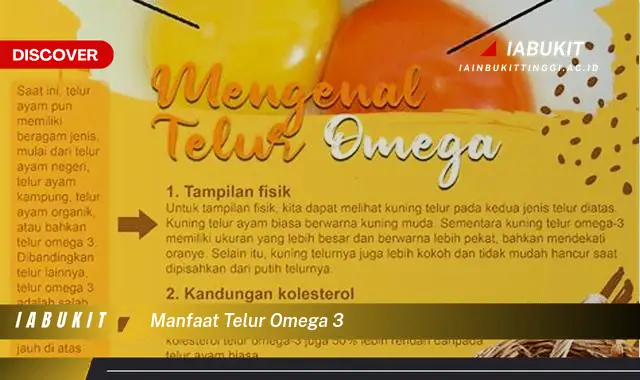 manfaat telur omega 3