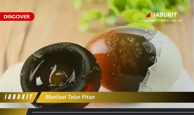 manfaat telur pitan