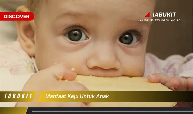 manfaat keju untuk anak