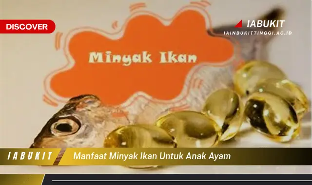 manfaat minyak ikan untuk anak ayam