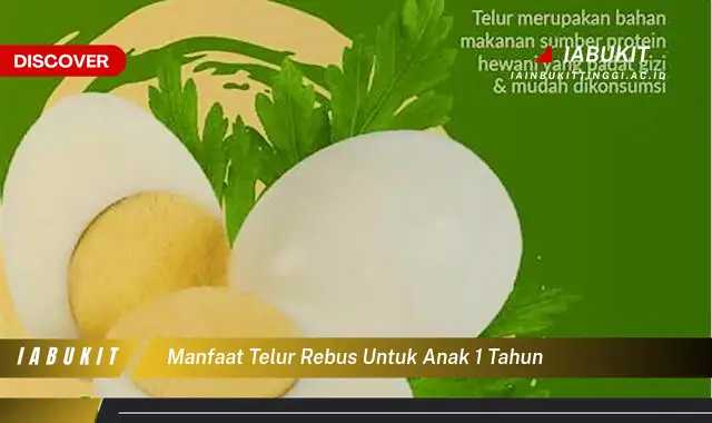 manfaat telur rebus untuk anak 1 tahun