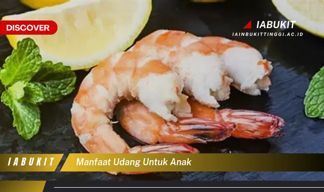 Banyak yang Belum Tahu! Ini Dia 20 Manfaat Udang untuk Anak yang Wajib Diketahui - E-Jurnal