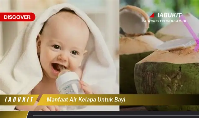 manfaat air kelapa untuk bayi